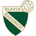 TJ Slavia Radonice