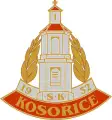 TJ Sokol Kosořice 